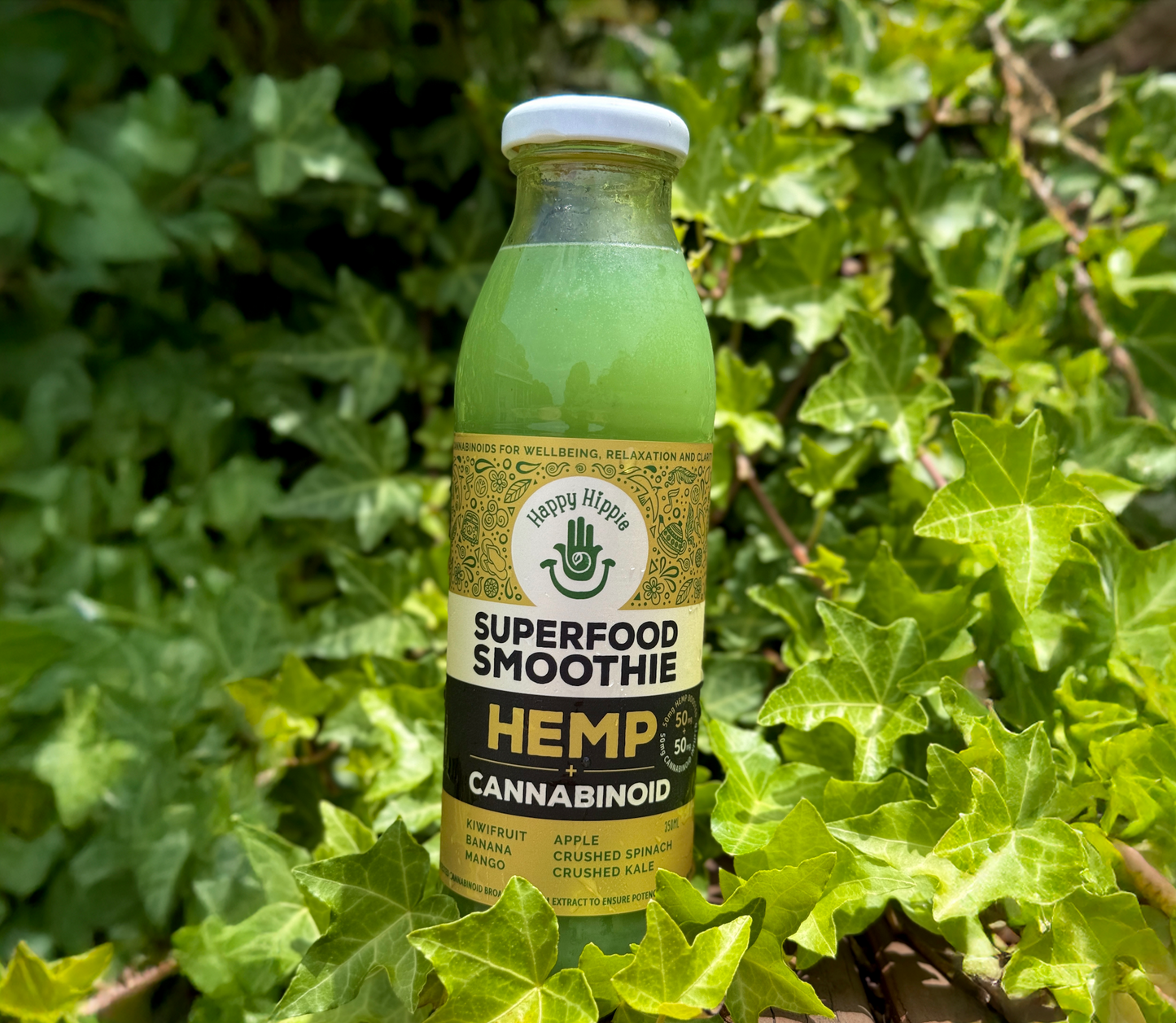 Hemp + Cannabinoid Superfood Smoothie - 12 x 350ml